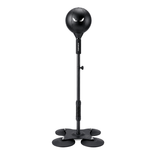 FUNPUNCH PRO — included in the Home Boxing Kit